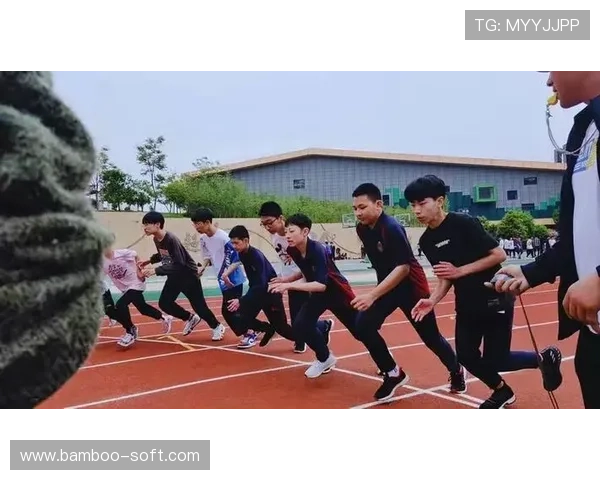 专访王静：探寻篮球领域的成功秘诀与成长故事